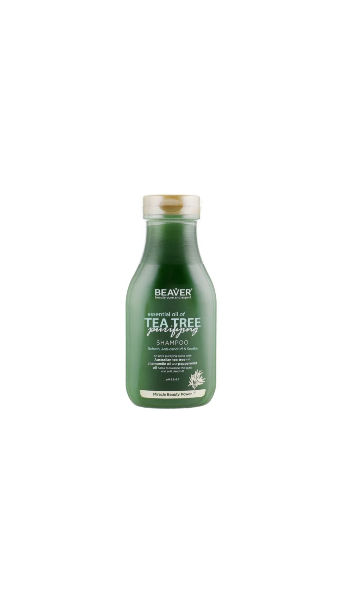 Шампунь для жирного волосся з олією Чайного дерева Essential Oil of Tea Tree Shampoo, Beaver