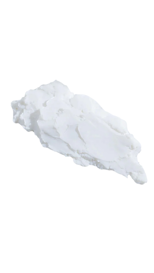 White lace doily on a white background