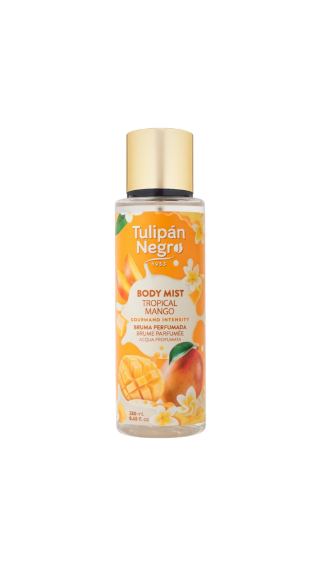 Міст для тіла, Tulipan Negro