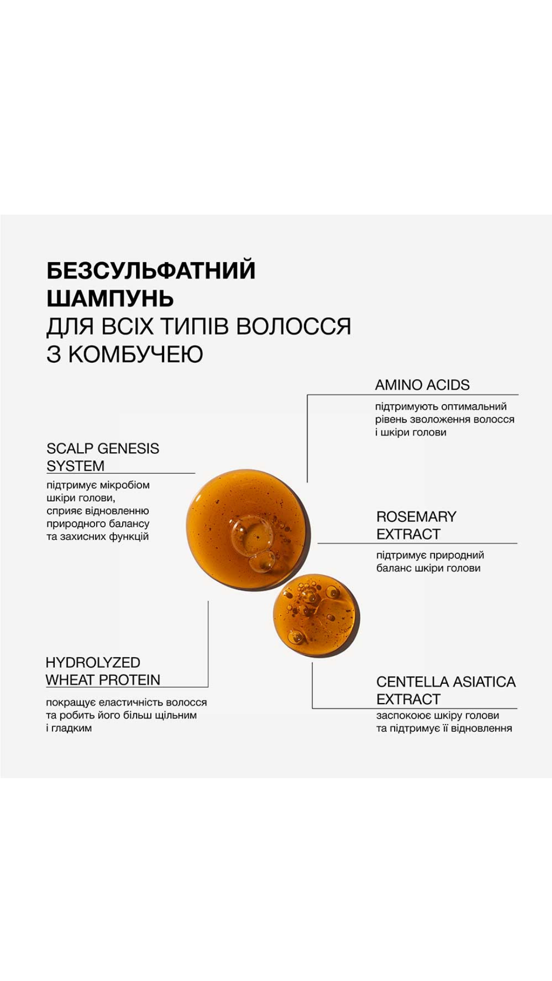 Безсульфатний шампунь для всіх типів волосся з комбучею 500ml Kombucha, Triology.