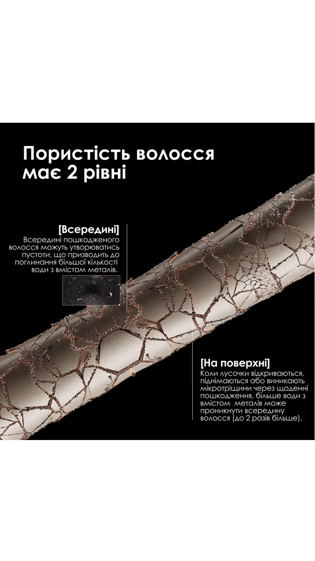 Шампунь для волосся після фарбування та освітлення 300ml, L'Oreal Professionnel
