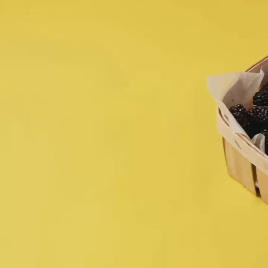 Бальзам-блиск для губ MULBERRY + іграшка брелок , WISHLIST