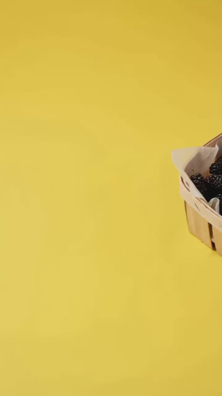 Бальзам-блиск для губ MULBERRY + іграшка брелок , WISHLIST
